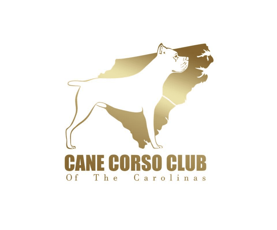 Cane Corso Club of the Carolinas